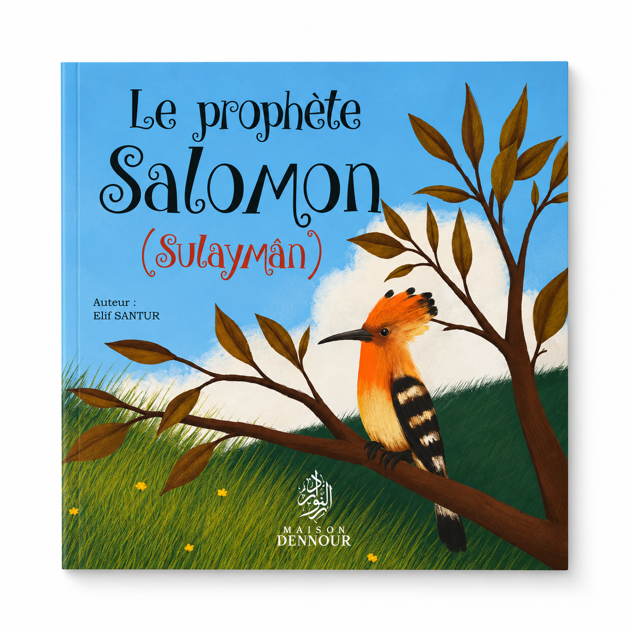 Le prophète Salomon ( Sulayman )